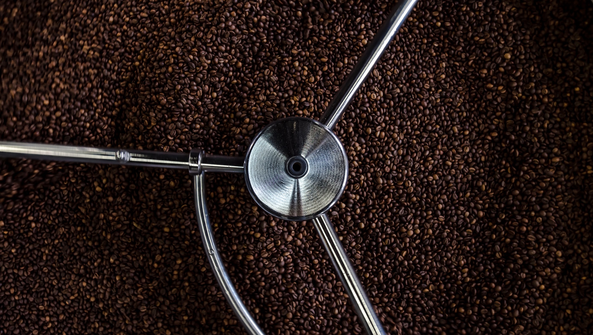 咖啡豆被处理