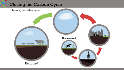 carbon cycle