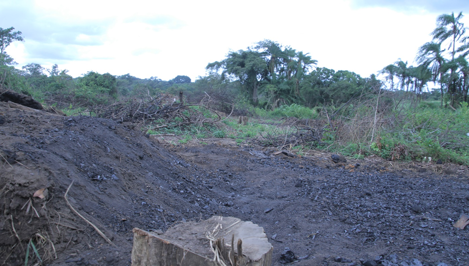 木炭生产遗址在乌干达的Nwoya区的森林地区，东非。