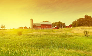 可持续农业的承诺：从townie特色图像报告