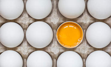 鸡蛋在其他鸡蛋中是一半的碎片