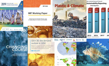 报告报告:气候风险，生物多样性，自然资本和塑料特征图像