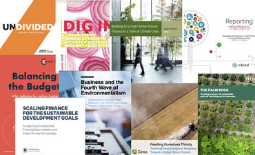 报告报告:碳泡沫、弹性农业、水智慧未来、可持续发展目标金融特色形象