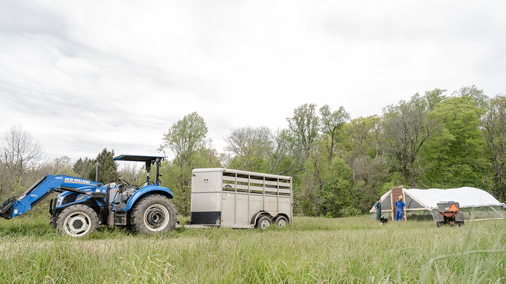 第一代农民在牧场宋农场波茨敦，PA制备释放鸡拖车负载到牧场首次。