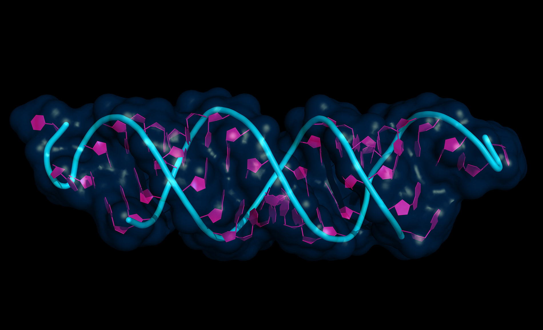合成生物DNA