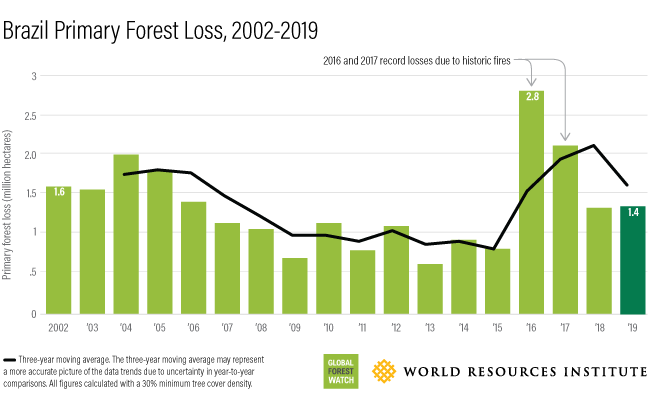 图表显示2002年至2019年间在巴西的森林损失