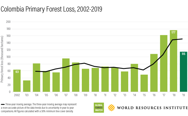 图表显示了2002年至2019年哥伦比亚的森林损失
