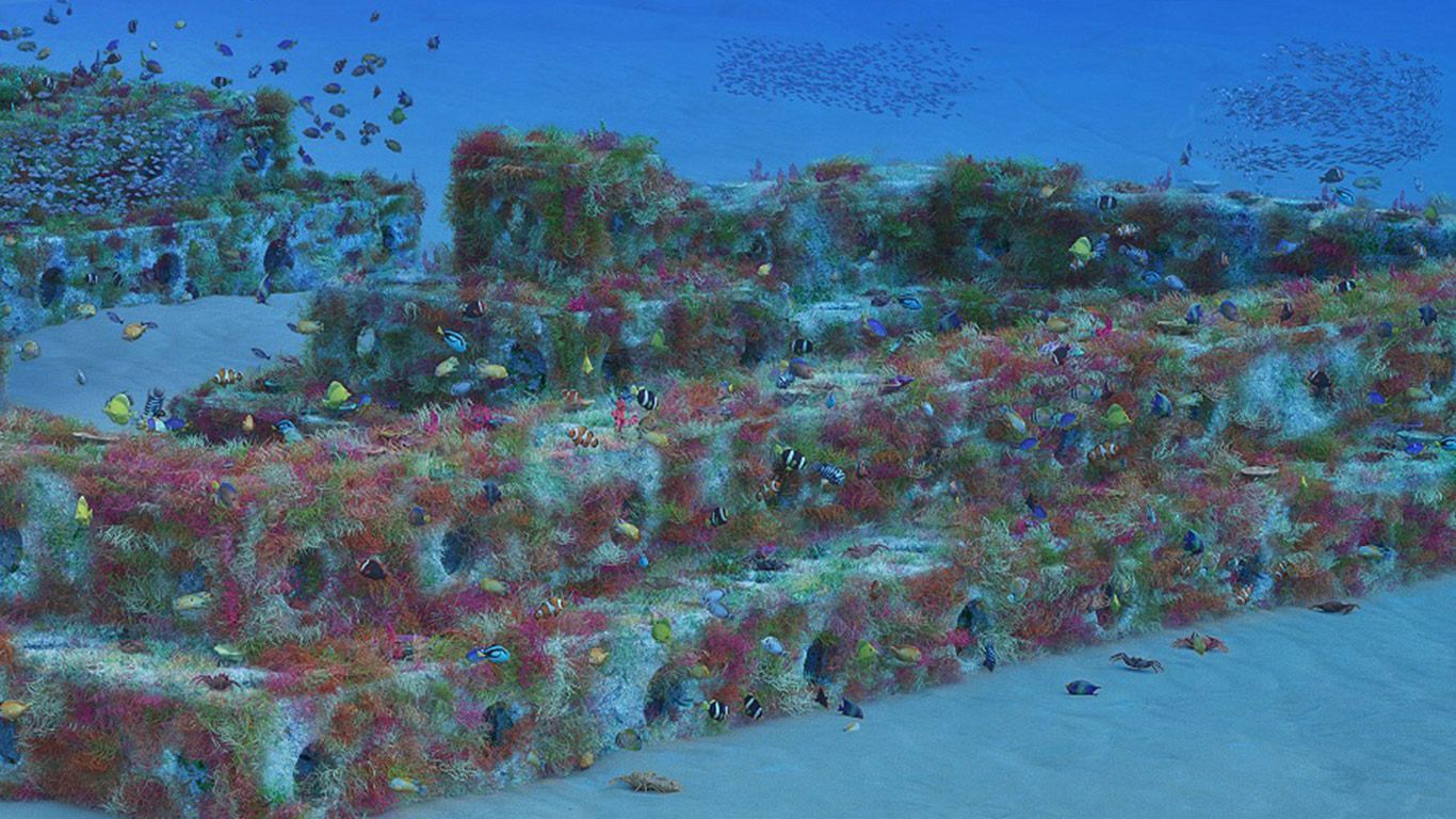 来自ARC Marine的人造珊瑚礁立方体