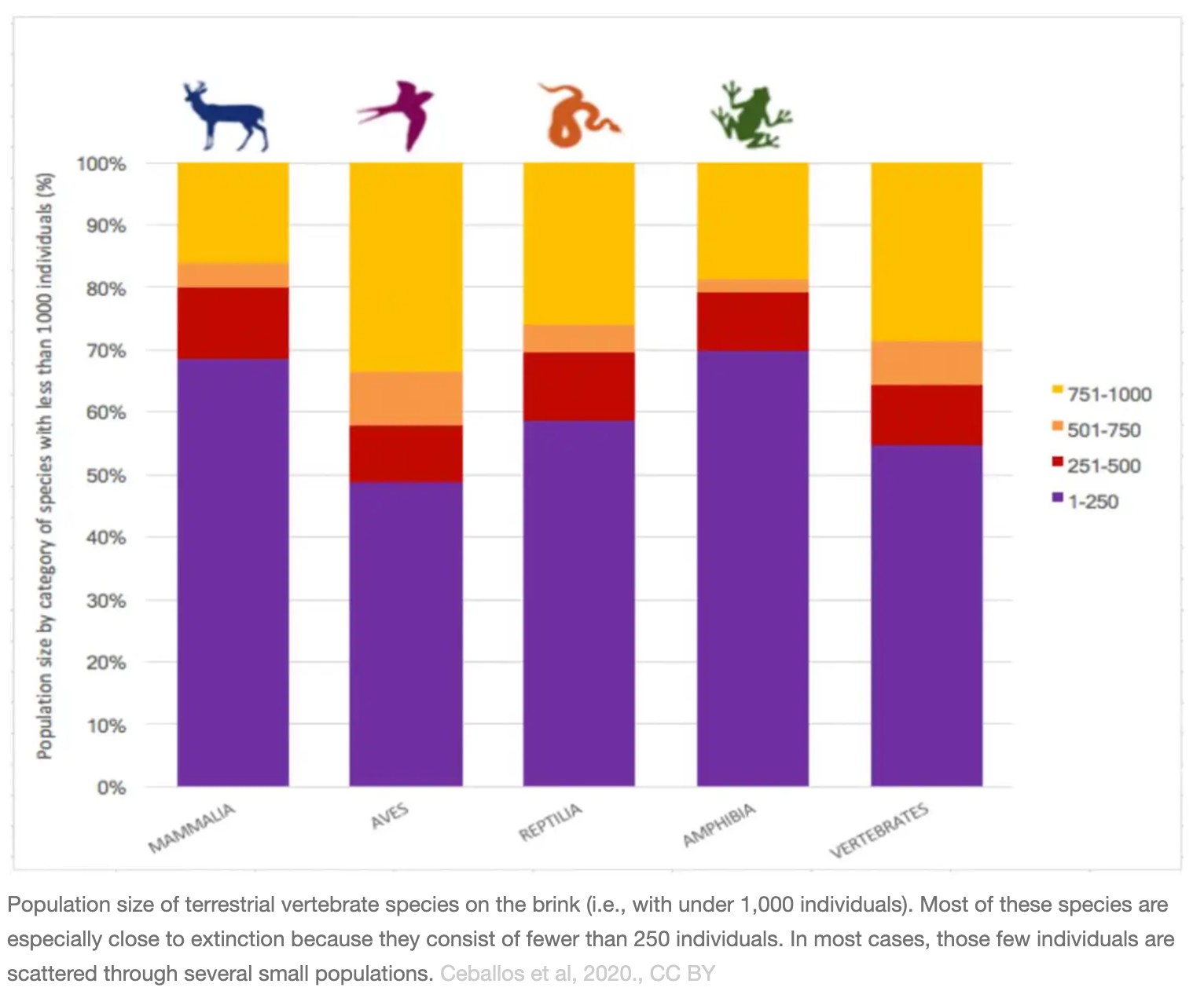 濒临灭绝的陆生脊椎动物物种的数量(即少于1000只)。这些物种中的大多数都特别接近灭绝，因为它们只有不到250个个体。在大多数情况下，这些少数个体分散在几个小种群中。塞巴洛斯等人，2020年。CC,
