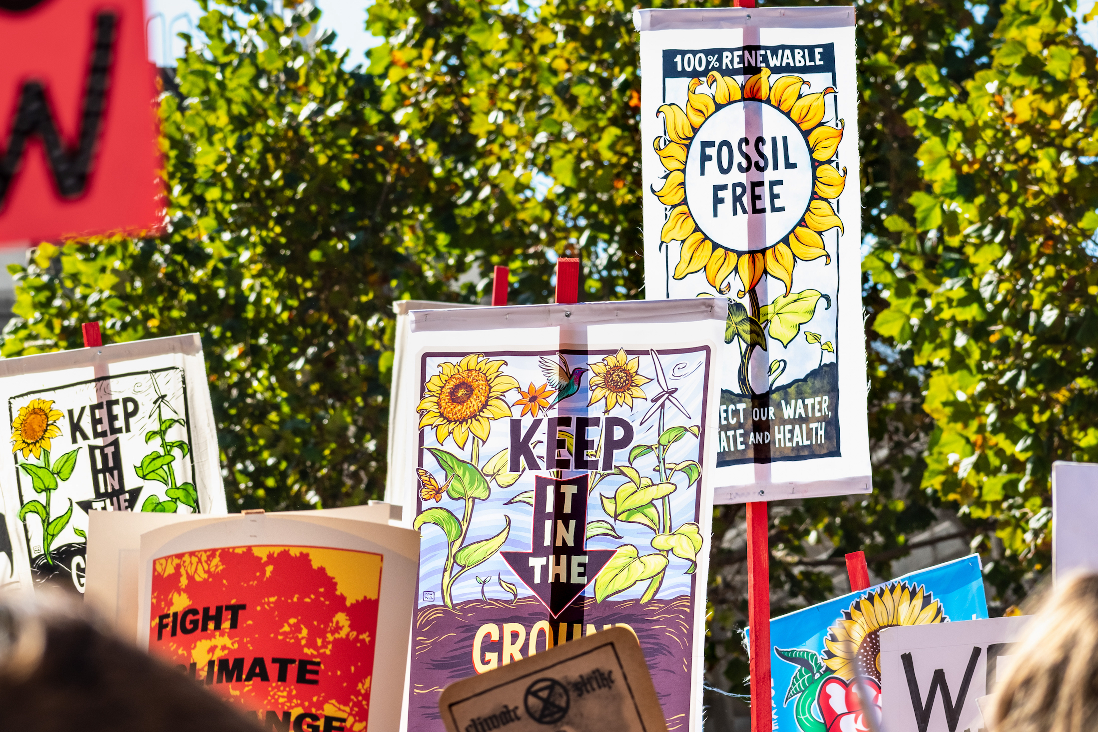 各种气候变化相关标语，抗议者在全球气候罢工的集会和3月在旧金山市中心。“>
           <div class=