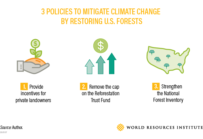 图象显示了通过恢复美国森林来减轻气候变化的3个政策
