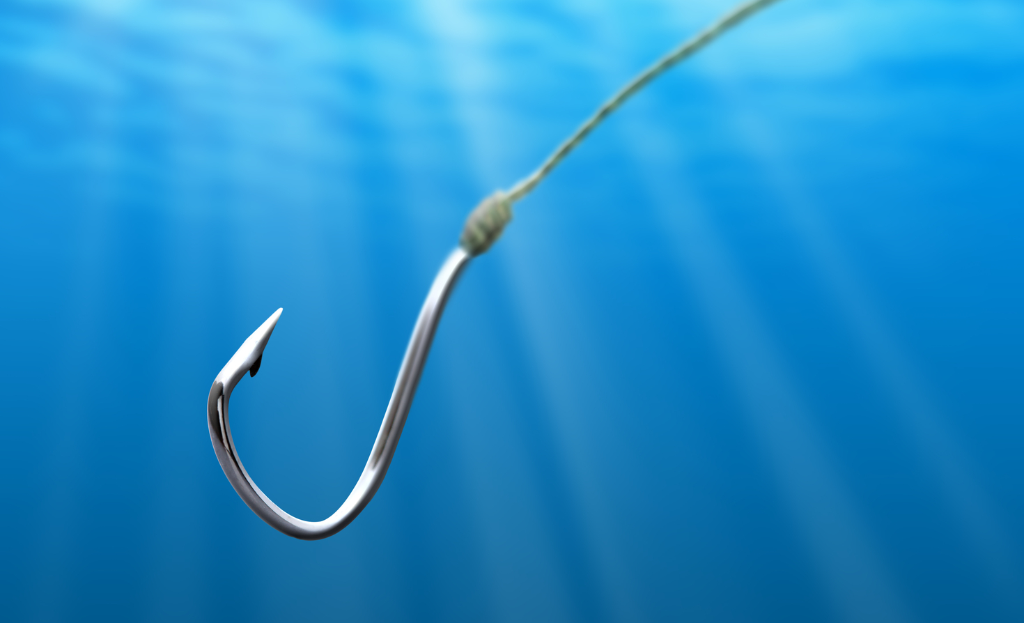 Image of an empty hook in water