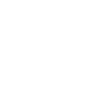 ncx_white_logo