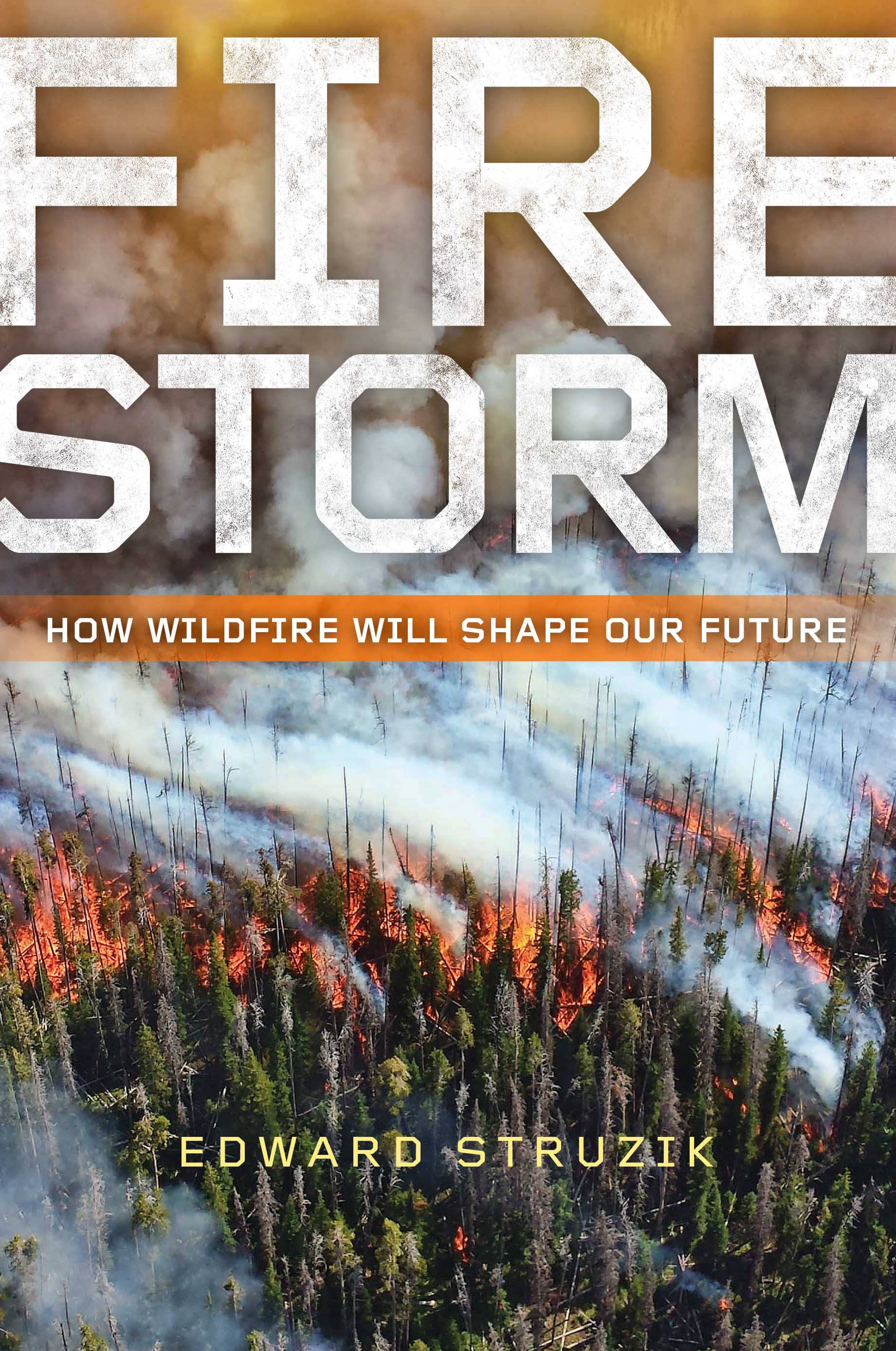 烈焰风暴：如何野火将决定我们的未来由爱德华·Struzik书的封面