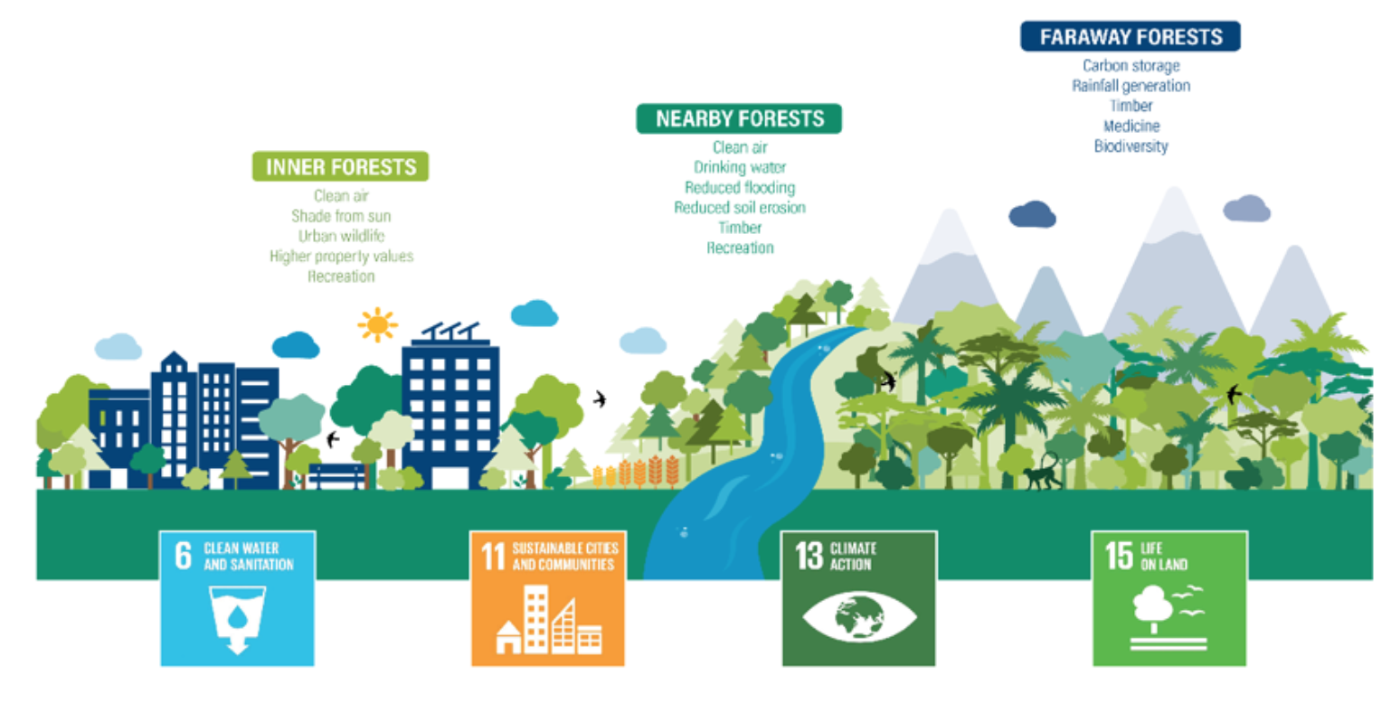 WRI的Cities4Forests图形