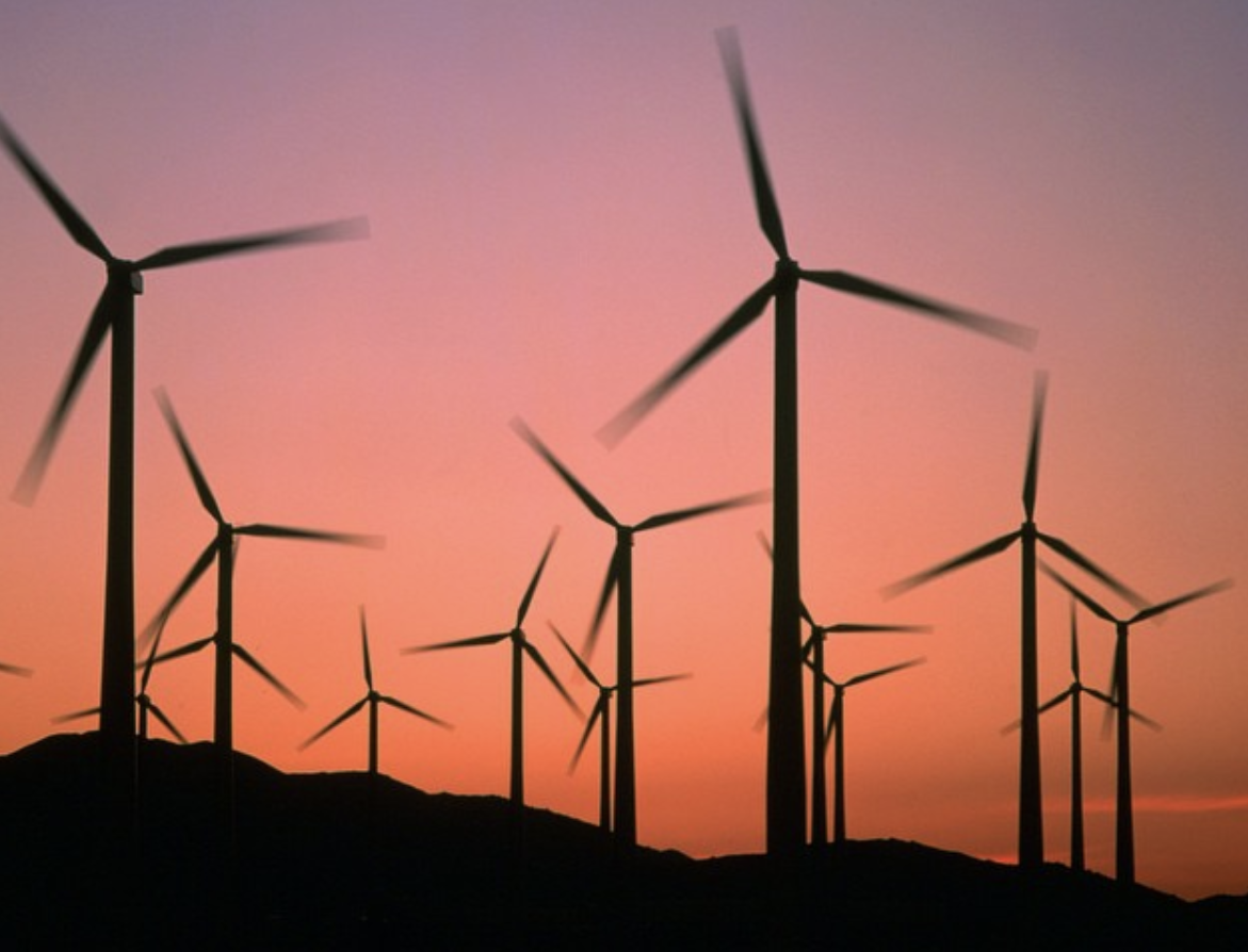 壳牌在加利福尼亚的风力发电场。