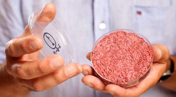马斯特里赫特大学教授标杆持有汉堡由培养牛肉。照片由大卫·帕里/ PA线。