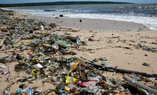 废塑料是海洋污染的主要来源。