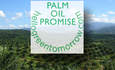 雅芳加入可持续棕榈油运动地球日质押特色图片