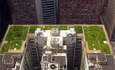 芝加哥如何能使一个更大的影响建筑改造特色形象