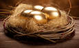 四个金蛋在一个巢里