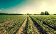 低碳农业气候变化解决方案