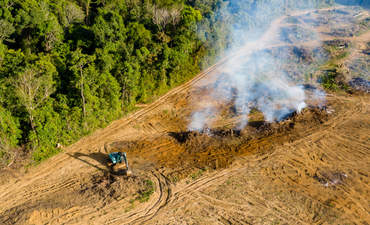无人机拍摄的热带雨林砍伐以开垦土地种植的景象