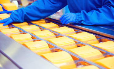 奶酪生产工厂