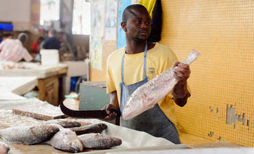 塞内加尔人削减鱼在塞内加尔首都达喀尔的室内市场