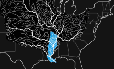 密西西比河水系的黑白图像