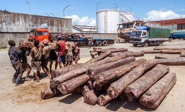 工人们在马达加斯加东部的托阿马西纳港用卡车装载红木。