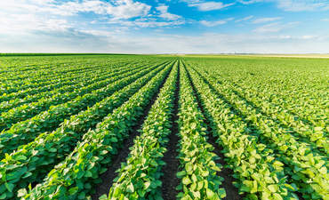 新的农业法案促进健康的土壤和气候的健康形象特色