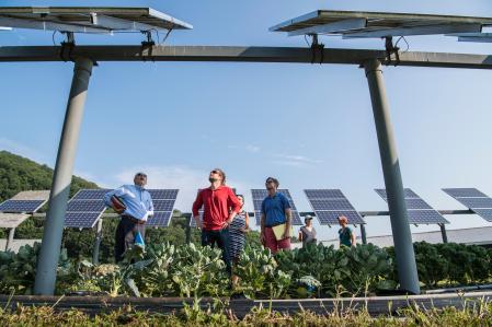 NREL researcher discuss panel orientation and spacing. Working with teams from UMass Clean Energy Extension and Hyperion on a photovoltaic dual-use research project at the UMass Crop Animal Research and Education Center in South Deerfield, MA.