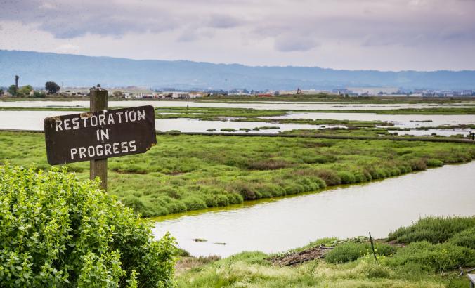 旧金山湾区湿地恢复