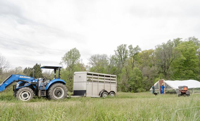 第一代农民在牧场宋农场波茨敦，宾夕法尼亚州准备释放拖车装载的鸡到牧场上的第一次。