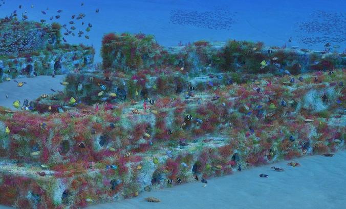 来自Arc Marine的人造礁立方体
