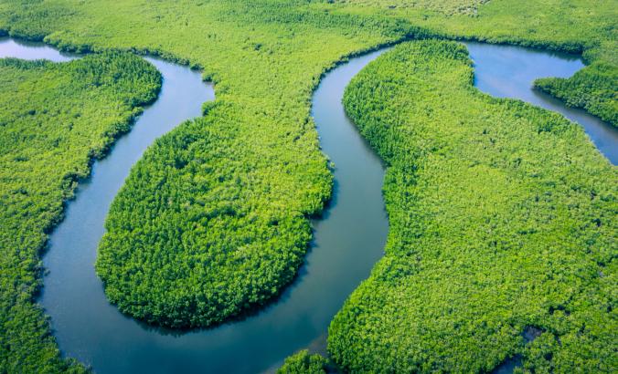 亚马逊河鸟瞰图。