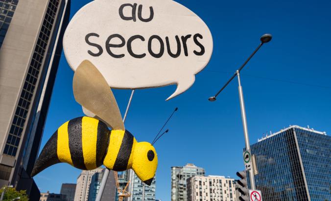 在蒙特利尔抗议活动中，一个恳求的“au secours”，这意味着法国人的“帮助”。