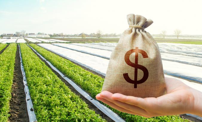 关于粮食系统的概念性艺术，用农田和钱袋进行投资