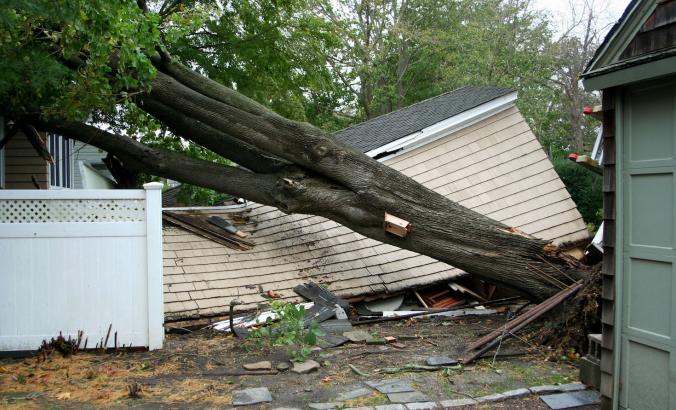 倒塌的树和房子“loading=