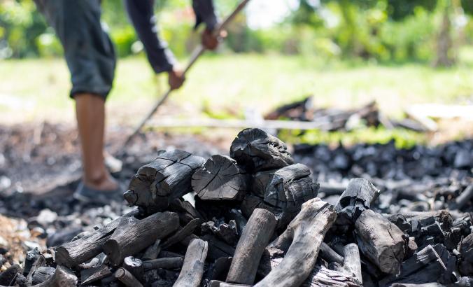 农民从农场切断的木炭中燃烧木炭。