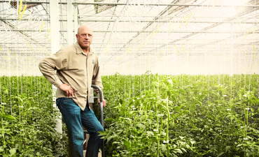 一位种植者花了1700万美元寻找一种更绿色的番茄