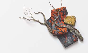 Flooring inspired by 'nature's carpet' featured image