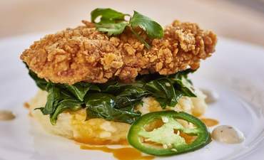 肉类巨头泰森食品(Tyson)培育可持续蛋白质。联盟特色形象