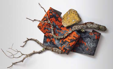 A better approach to sustainability is a better approach to business featured image