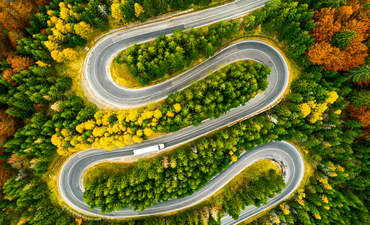 用曲折的道路树木繁茂的秋天路径