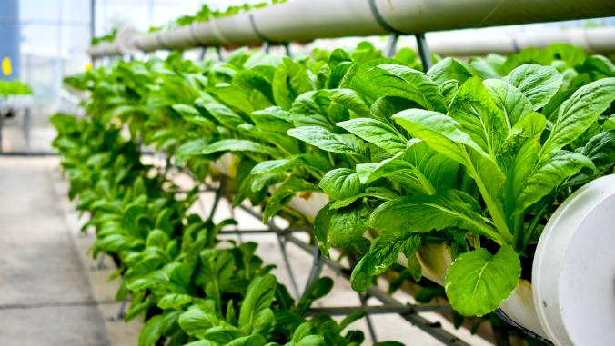 Organic indoor agriculture
