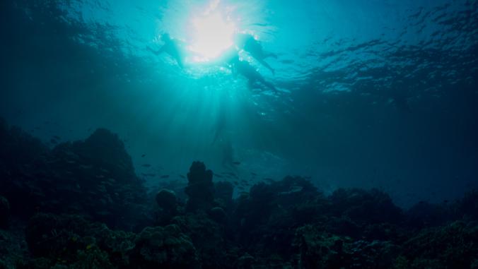 View from beneath the ocean surface, with silhouettes of three people snorkeling