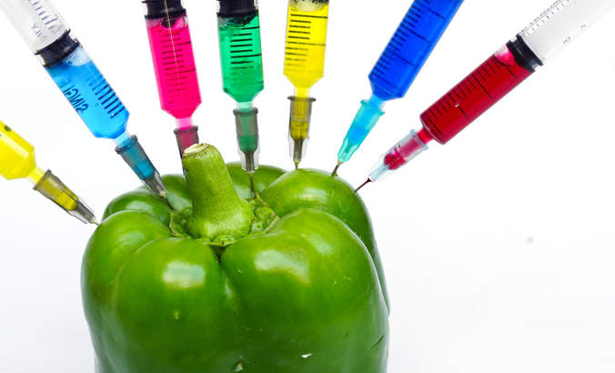 转基因生物可持续的商业公共政策