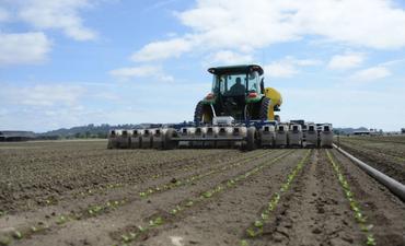 从AeroFarms到Syngenta, ag tech在2015年推出了全新的解决方案